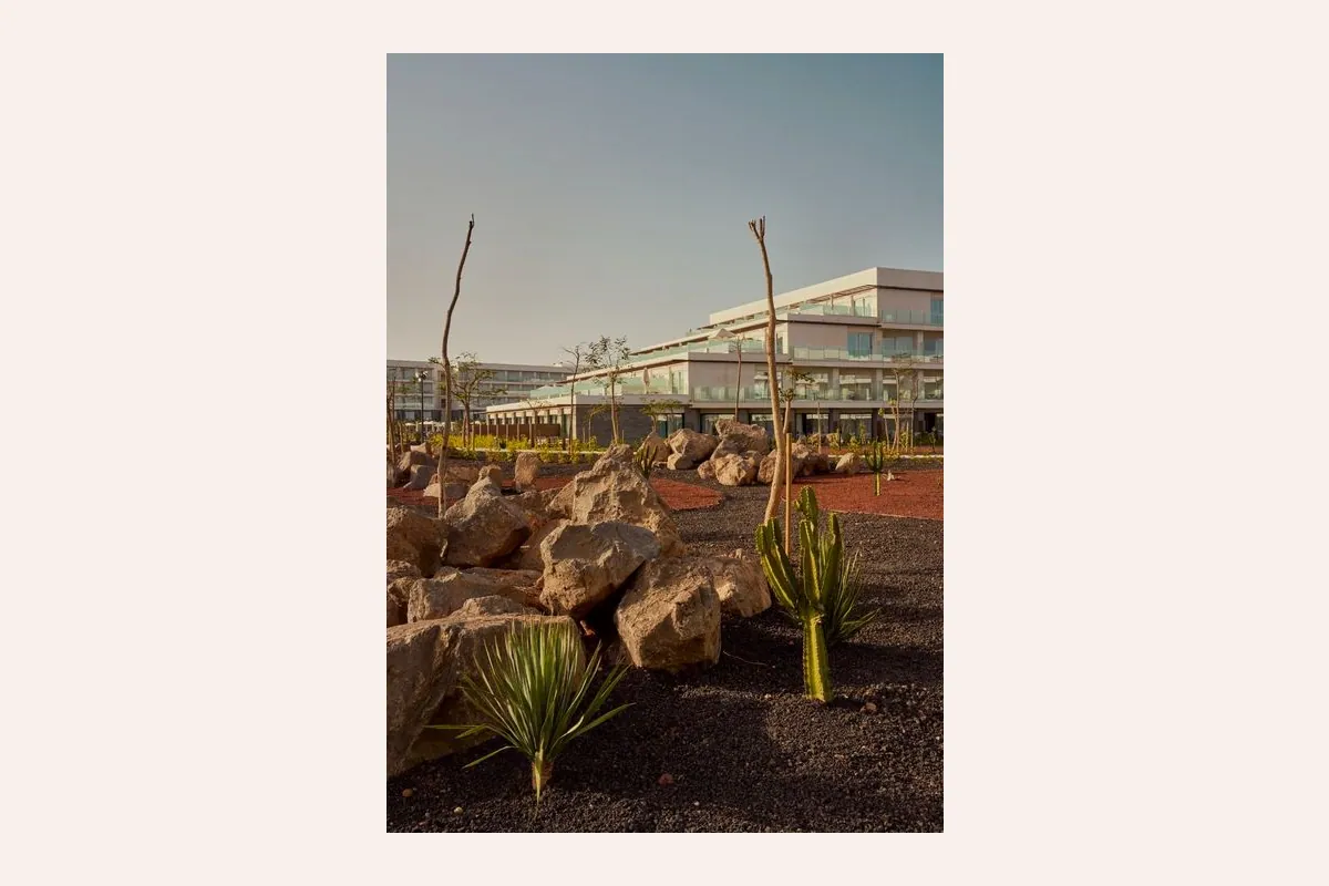 Exterior del hotel Barceló Playa Blanca con piedra volcánica y cactus