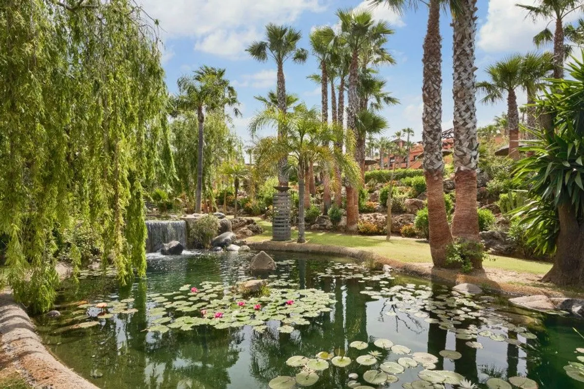 Jardines tropicales del hotel Royal Hideaway Sancti Petri con palmeras y un estanque con nenúfares